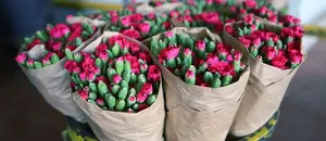 Çiçek ihracatında çeşitlilik arttı 