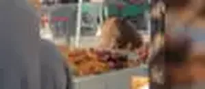 Hitting the Sweet Spot: Bear Treats Itself to Baked Goods at Colorado Farmers’ Market