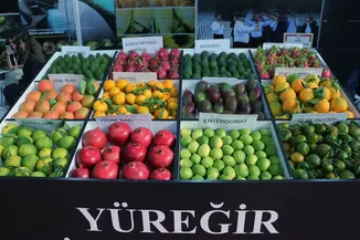 Adana Uluslararası Tarım ve Sera-Bahçe Fuarı açıldı