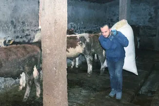Ağrılı genç veteriner tekniker hibe desteğiyle hayvancılık işini büyüttü
