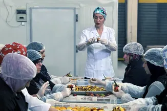 Depremzede kadın girişimci kuruttuğu meyve ve sebzelerle ihracata açıldı 
