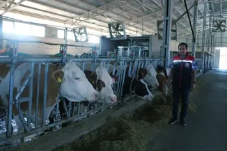 Erzincan’da şap hastalığını önlemek amacıyla yoğun aşı programı uygulanıyor