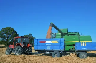 Samsun'un Havza ilçesinde 90 bin ton buğday rekoltesi bekleniyor