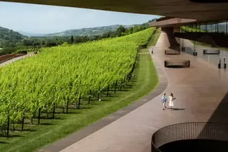 Thieves Make Off with €5M Haul from Prestigious Italian Winery