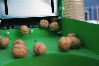 TKDK'den aldığı destekle kurduğu tesiste işlediği cevizleri 20 ile gönderiyor