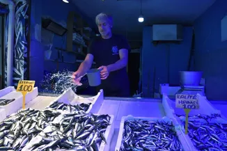 Trabzon'da hamsinin kilogramı 100 liradan satışa sunuldu