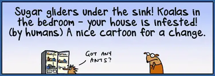 More and More Animals Are Moving Into Our Homes As Theirs Get Chopped Down and Dug Up | First Dog On The Moon
