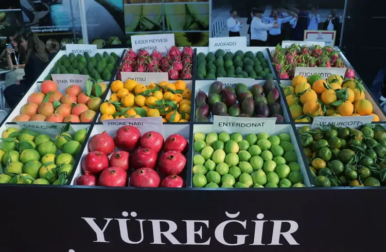 Adana Uluslararası Tarım ve Sera-Bahçe Fuarı açıldı