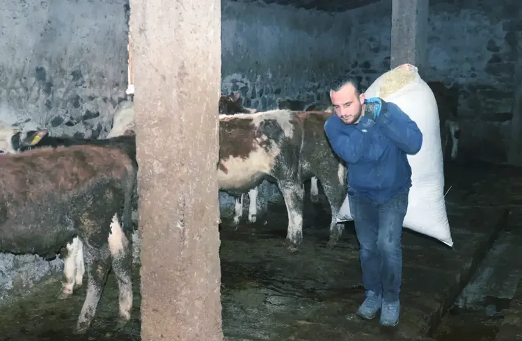 Ağrılı genç veteriner tekniker hibe desteğiyle hayvancılık işini büyüttü