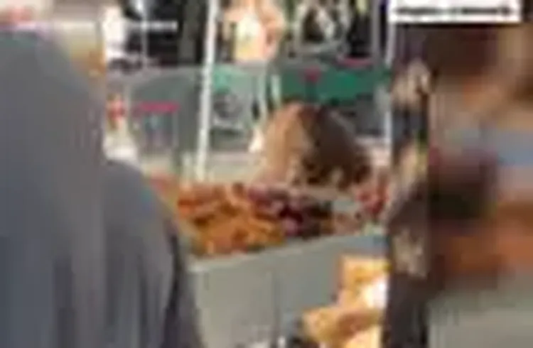 Hitting the Sweet Spot: Bear Treats Itself to Baked Goods at Colorado Farmers’ Market