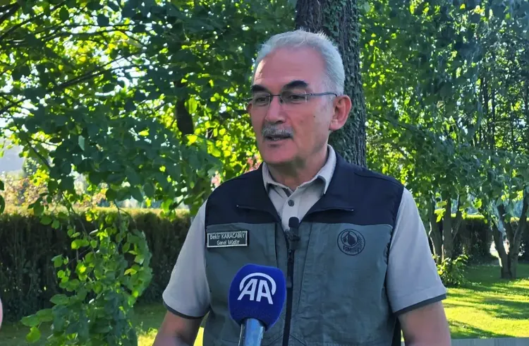 İhmal ve dikkatsizlikle çıkan orman yangınlarına karşı farkındalık bilinci önemli İhmal ve dikkatsizlikle çıkan orman yangınlarına karşı farkındalık bilinci önemli