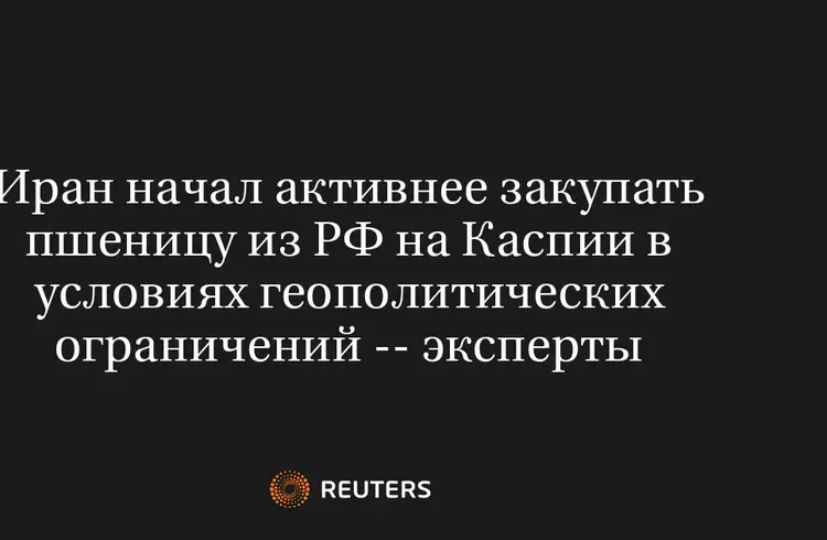 Иран Начал Активнее Закупать Пшеницу Из РФ На Каспии В Условиях Геополитических Ограничений -- Эксперты