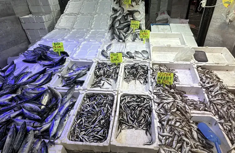 Karadeniz'de ağlar doldu, fiyatlar 50 liraya kadar düştü