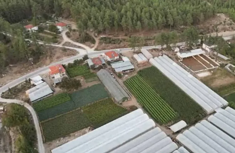 TOKİ 47 İlde 405 Arsayı Satışa Çıkarıyor: Açık Artırma Ne Zaman, Nerede Yapılacak? Ödeme Şartları Neler?