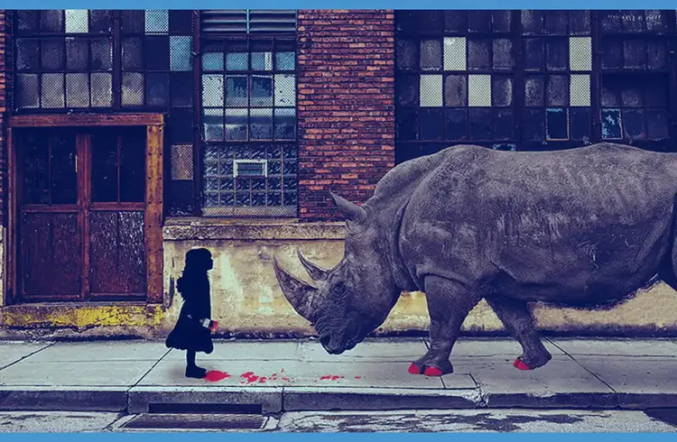 Gri Gergedan (Gray Rhino) Riskleri: 2024'te İzlenmesi Gereken Kritik Noktalar Gri Gergedan (Gray Rhino) Riskleri: 2024'te İzlenmesi Gereken Kritik Noktalar