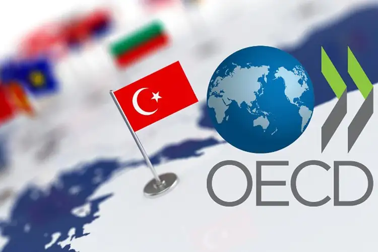 Türkiye, OECD Verilerine Göre En Hızlı Büyüyen 3. Ülke